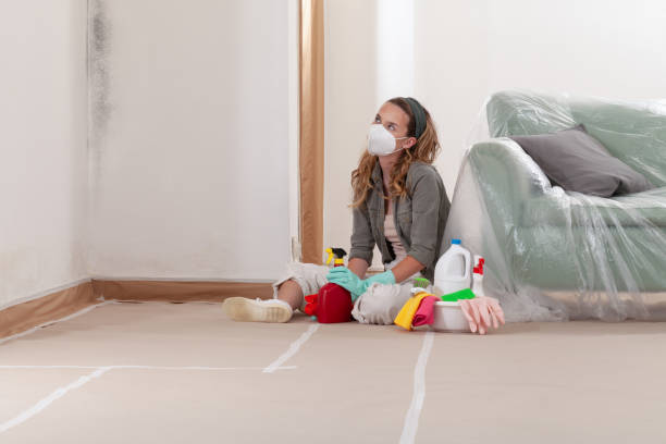 Reliable Mold Removal contractor in Rocky Mount, NC by 24 Hour Mold Removal
